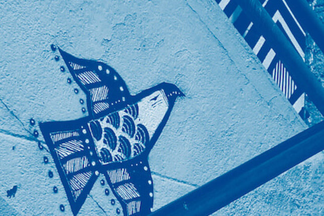 Political Trends & Dynamics in Southeast Europe