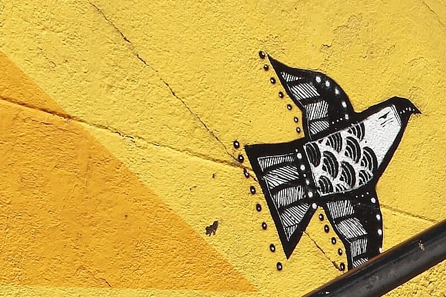 Progressive Peace Policy